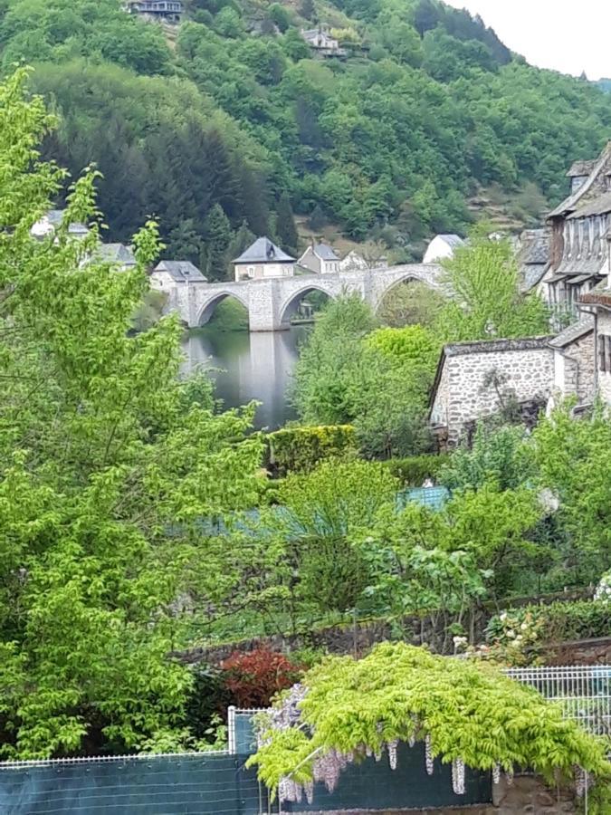 Suite avec vue panoramique sur la Truyère Entraygues-sur-Truyère Extérieur photo