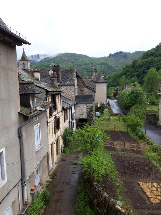 Suite avec vue panoramique sur la Truyère Entraygues-sur-Truyère Extérieur photo