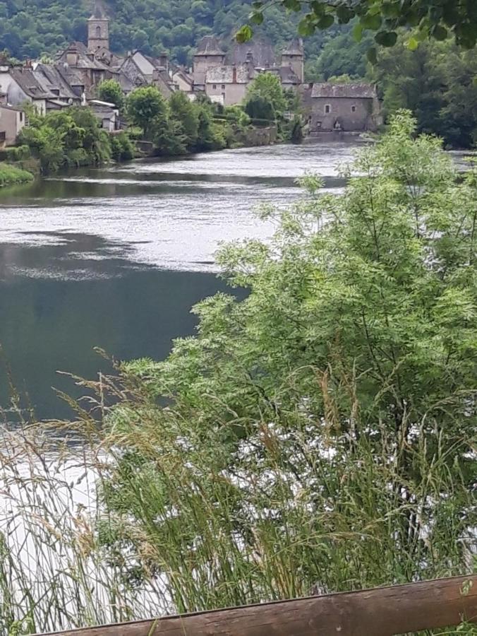 Suite avec vue panoramique sur la Truyère Entraygues-sur-Truyère Extérieur photo
